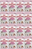 Royal Canin Kitten Gravy Kedi Mamasi 85 Gr 12 Adet