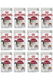 Royal Canin Jelly Instinctive Yas Kedi Mamasi 85 Gr 12 Adet
