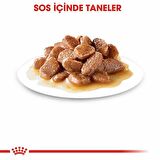 Royal Canin Digest Sensitive Kedi  Konservesi 85 Gr