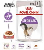  ROYAL CANİN Cat Fhn Sterilised Gravy 37 Kedi Konservesi 12X85 gr