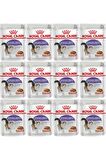Royal Canin Gravy Sterilised Kisirlastirilmis Yas Kedi Mamasi 85 Gr 12 Adet