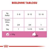 Royal Canin Mother&Babycat Kedi Konservesi 195 Gr