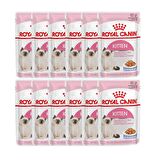 ROYAL CANIN KITTEN JELLY 85G x 12 Adet