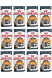 Royal Canin Intense Beauty Jel İçinde Yetişkin Kedi Konservesi 85gr 12 Adet