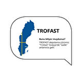 Saklama kutusu, gri-mavi, 42x30x23 cm