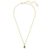 Swarovski SWR5648751 Kadın Kolye