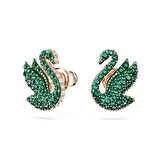 Swarovski SWR5650063 Kadın Küpe