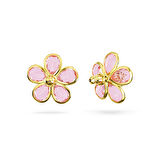 Swarovski SWR5656635 Kadın Küpe