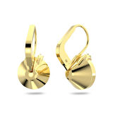 Swarovski SWR5662093 Kadın Küpe