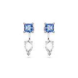 Swarovski SWR5665767 Kadın Küpe