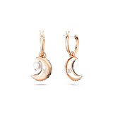 Swarovski SWR5671569 Kadın Küpe