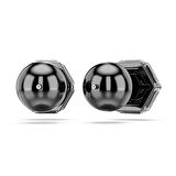 Swarovski SWR5677941 Kadın Küpe