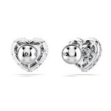 Swarovski SWR5683576 Kalpli Kadın Küpe