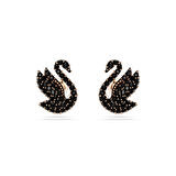 Swarovski SWR5684608 İncili Kadın Küpe