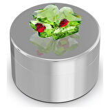5692961 Swarovski Ev Dekorasyonu Idyllıa:Decor Box Clover And Ladybug