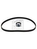 TRIGER EKSANTRIK GERGI SETI DACIA LOGAN  RENAULT CLIO SYMBOL CLIO KANGOO 1.4I 1.6 E7J K7J