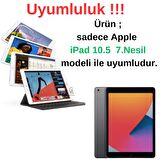 Apple iPad Air 10.5  7.Nesil ile Uyumlu Simli Tasarımlı Tablet Kılıfı