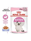 Royal Canin 85Gr KITTEN JELLY Yavru Yaş Kedi Maması 12Adet