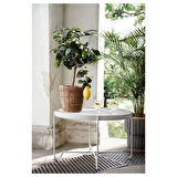 Rattan saksı, deniz sazı, 19 cm
