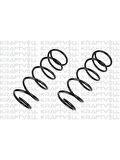 ON HELEZON YAYI CLIO SYMBOL (2 ADET)