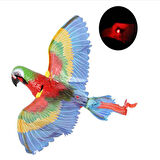 Uçan Papağan Kedi Oyuncağı