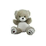 PB30453-22S1 Peluş Asorti Ayı ve Panda 23 cm