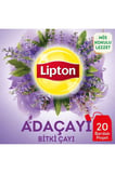 Lipton Adaçayı Bitki Meyve Bardak Poşet Çayı 20'li x 12 Adet