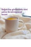 Lipton Adaçayı Bitki Meyve Bardak Poşet Çayı 20'li x 12 Adet