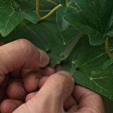 Yapay bitki, yeşil, 26x26 cm, iç/dış mekan