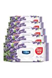 Deep Fresh Maxi Pack Lavanta Alkolsüz 5 x 144 Yaprak 5 Paket Islak Mendil