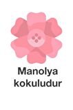 Deep Fresh Maxi Pack Manolya Alkolsüz 5 x 144 Yaprak 5 Paket Islak Mendil