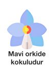 Deep Fresh Maxi Pack Orkide Alkolsüz 5 x 144 Yaprak 5 Paket Islak Mendil