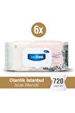 Deep Fresh Otantik Alkolsüz 6 x 120 Yaprak 6 Paket Islak Mendil