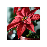 Yapay bitki, kırmızı, 12 cm, Atatürk çiçeği, iç-dış mekan