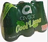 Avşar Cool Lime Nane Limon Aromalı Maden Suyu 200 Ml X 6 Adet