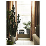 Katlamalı stor perde, bej, 120x160 cm, ışığı geçirir