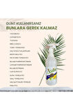 GLİNT 1 Litre %100 Bitkisel Küf Fırın Izgara Temizleyici Yağ Sökücü Çok Amaçlı Yüzey Temizleyici