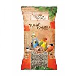 Gold Wings Yulaf Kuş Yemi 300 Gr