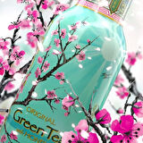 Arizona Green Tea Honey Iced Tea 500 Ml