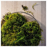 Kokulu tealight mum, kırık beyaz, 3.5 saat, çiğ & yosun