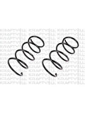 ON HELEZON YAYI RENAULT TWINGO 1.2  9300 (2 ADET)