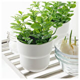 Yapay bitki, yeşil, 9 cm, nane, iç/dış mekan