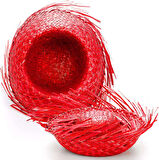 Tropikal Parti Kırmızı Hasır Hawaii Şapkası 