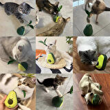 Avokado Şeklinde Kedi Naneli ve Mama Hazneli Kedi Oyuncağı 