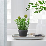 Toprak saksı, koyu gri, 6 cm