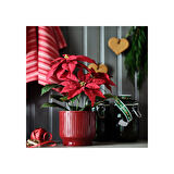 Seramik saksı, kırmızı, 12 cm, iç-dış mekan