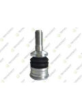 ROTIL YAN ALT W205 14 C205 18 S205 14 W213 16 S213 16 A238 17 C238 16