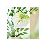 Yapay çiçek, beyaz, 66 cm, anthurium, iç-dış mekan