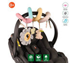 been Spiral Puset Oyuncağı