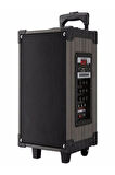 Süper Bass Şarjlı Mikrofonlu Hoparlör Karaoke Sistemi 80 Watt Taşınabilir Parti Box